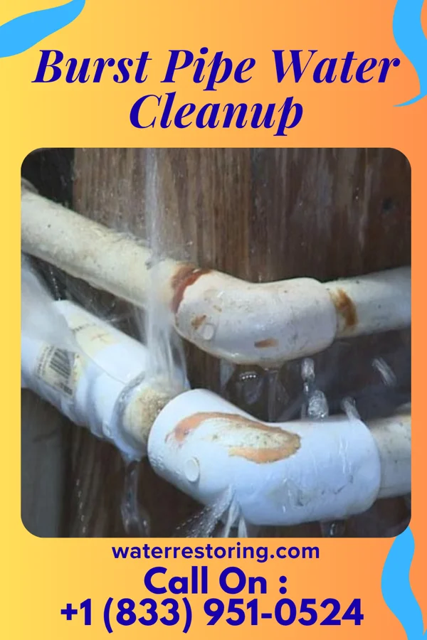 Burst Pipe Water Cleanup in Post, TX