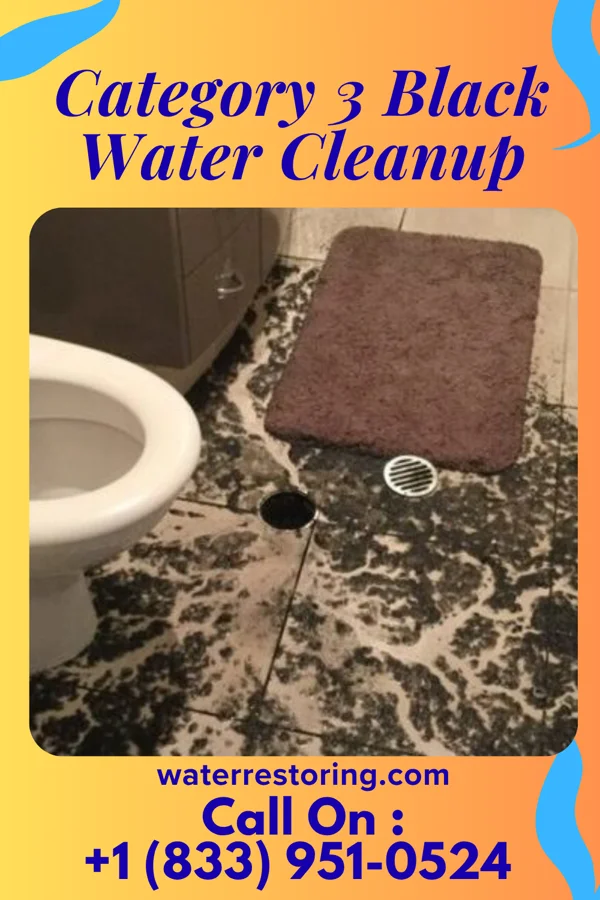 Category 3 Black Water Cleanup in Post, TX