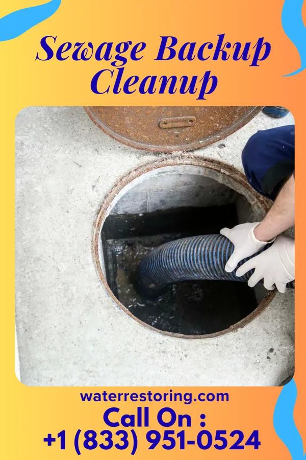 Sewage Backup Cleanup in Post, TX